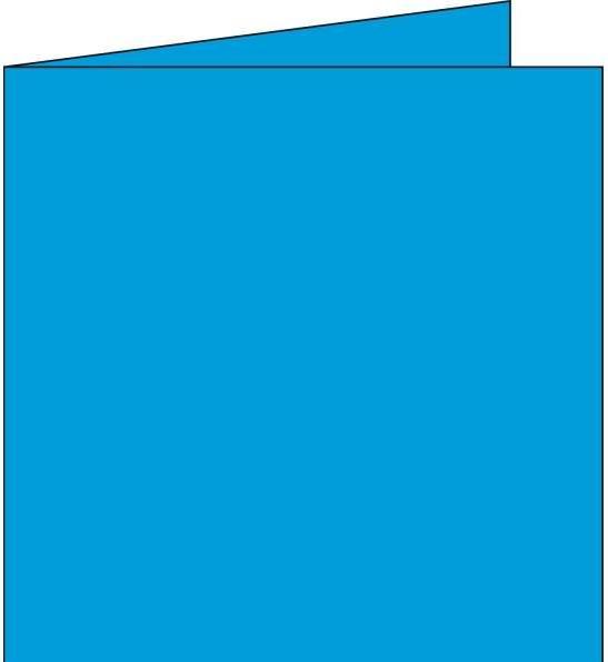 Produktbild Pollen Doppelkarte (135 x 135 mm, 25 x)