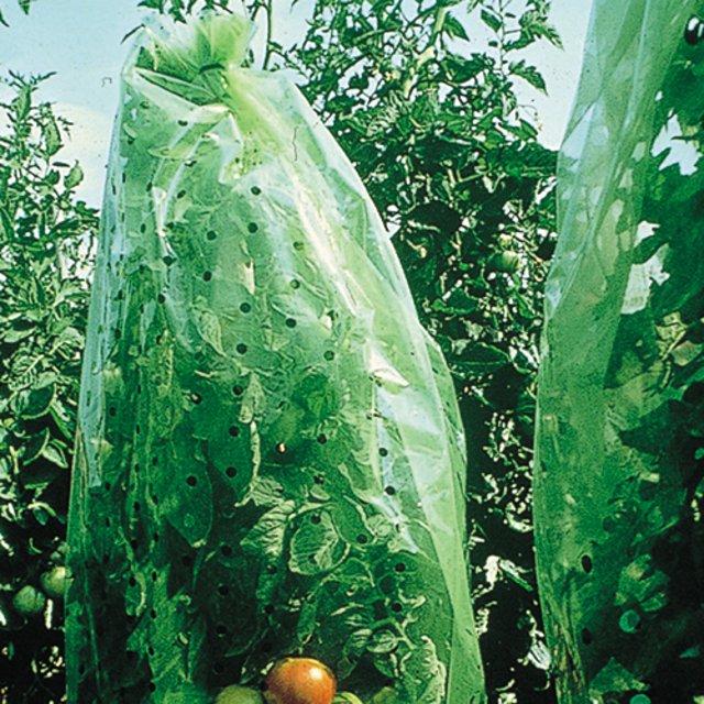 Image du produit Xclou Garden Couverture de tomates 0,65 x 10 m