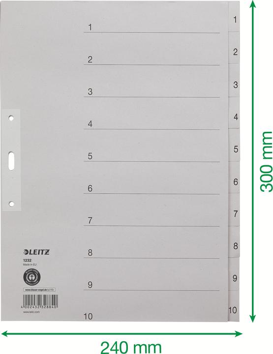 Actual product image Leitz Register Papier