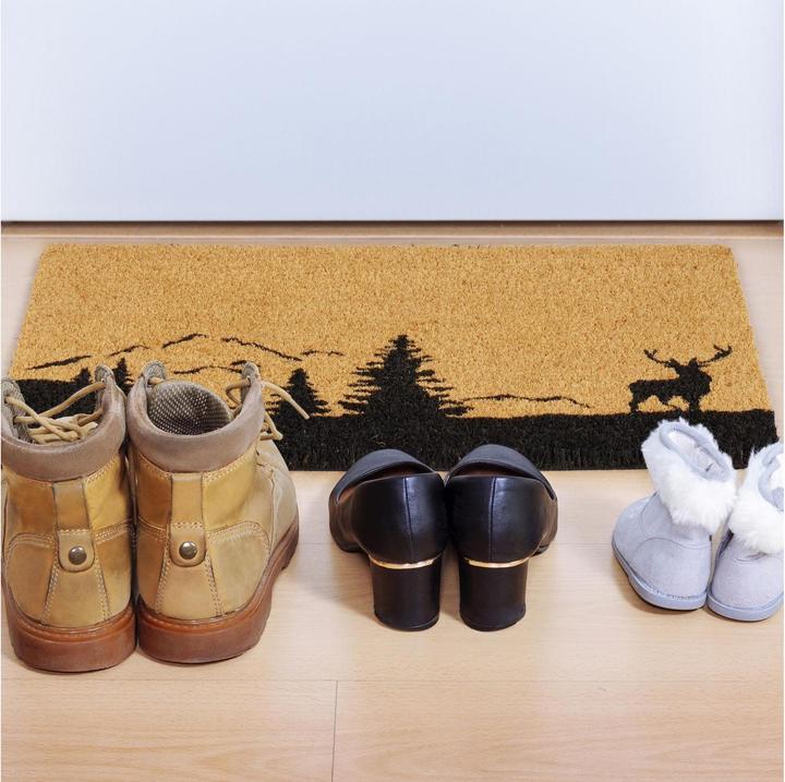 Image du produit Relaxdays Paillasson (60 x 40 x 1,5 cm)