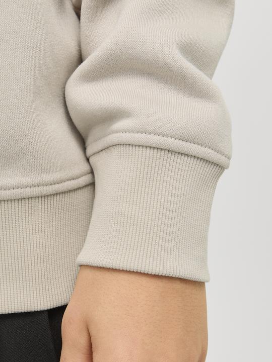 Actual product image Jack & Jones Jjebradley Sweat Half Zip Noos Jnr (176)