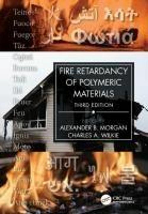 Image du produit Retard de flamme des matériaux polymères (Anglais, Wilkie Charles A., Morgan Alexander B., 2024)