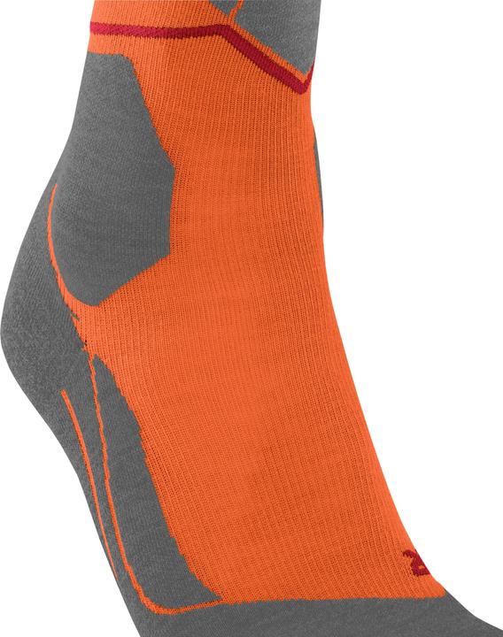 Actual product image Falke SK4 Advanced CompressionLight (44 - 45)