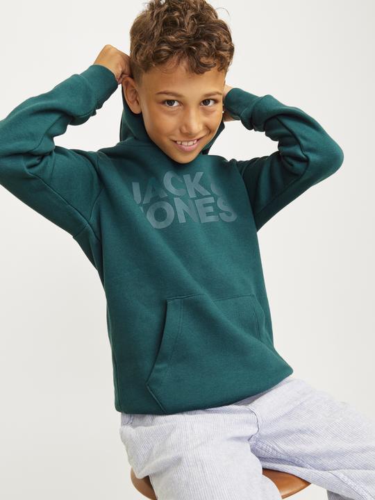 Actual product image Jack & Jones Jjecorp Logo Sweat Hood Noos Jnr (164)