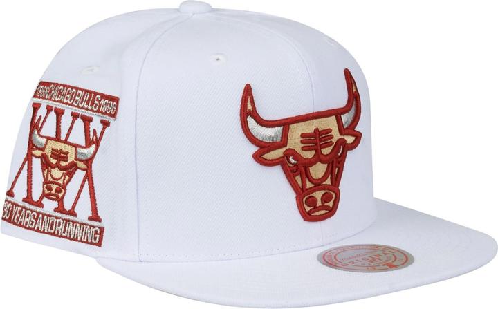 Mitchell & Ness White Chicago Bulls (One Size)