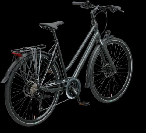 Produktbild Batavus Dinsdag Sport 30 (57 cm)