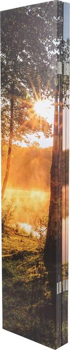 Immagine prodotto Mendler Foto Paravent con isolamento acustico HWC-L55, schermo per la privacy, 180x162cm Waldsee