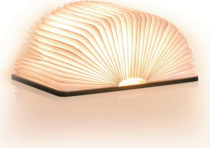 Actual product image Gingko smart book