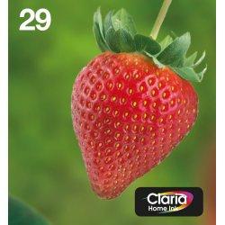Produktbild Epson 29 Claria Home Multipack (M, BK, C, Y)