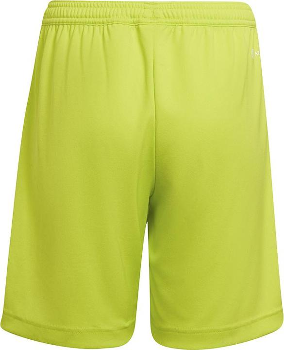 Actual product image adidas Entrada 22 Shorts (128)