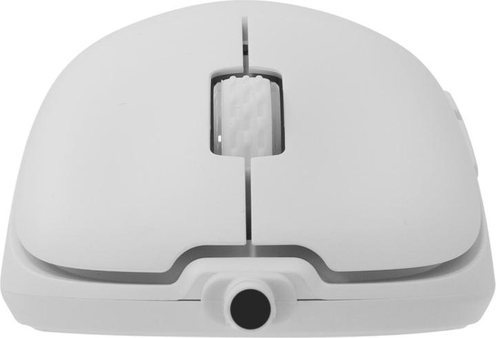 Image du produit White Shark Shark GM-5014 Graphene Blanc (Filaire)
