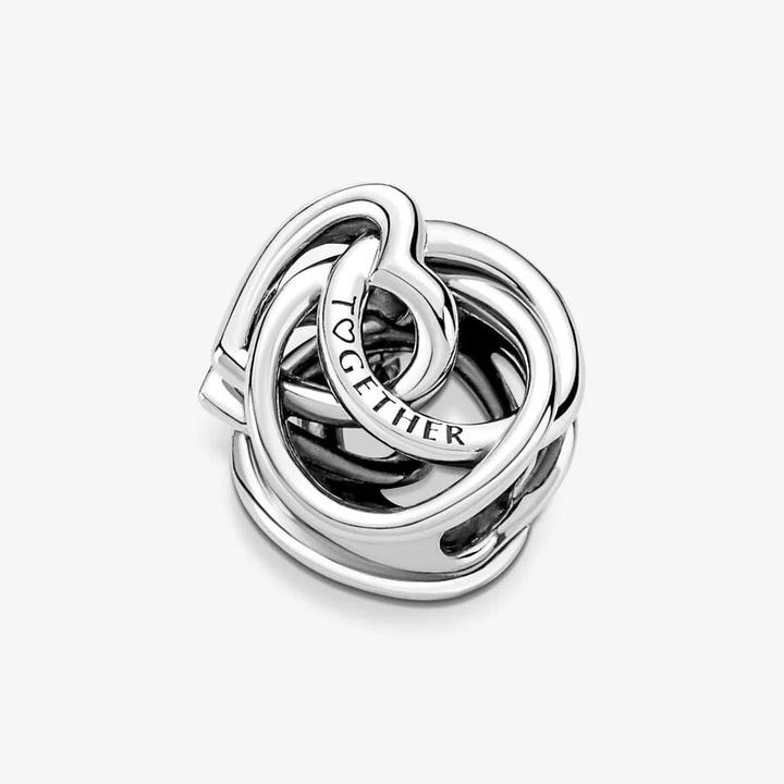 Actual product image Pandora Charm Family Forever (Sterling silver 925)