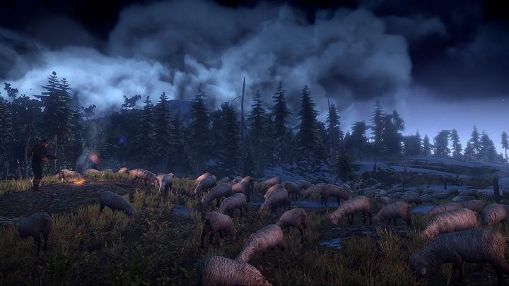 Image du produit The Witcher 3 : Wild Hunt