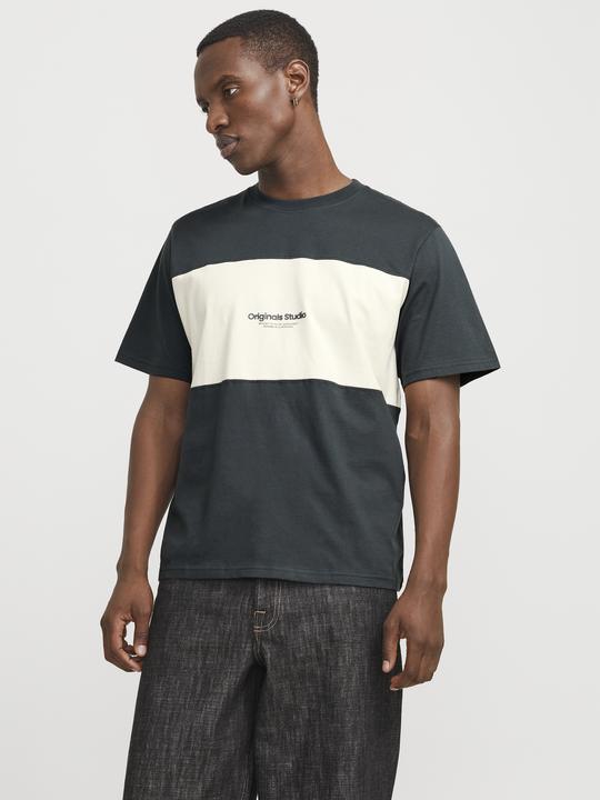 Produktbild Jack & Jones Jorvesterbro Block Tee Ss Crew Styd Aw24 (M)