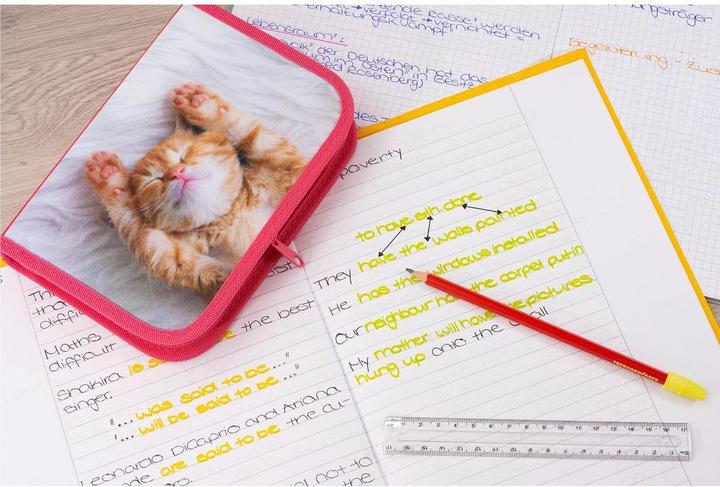 Immagine prodotto EberhardFaber Cassa cat 42 pezzi, Rosa
