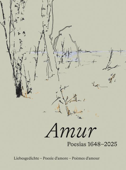 Produktbild Amur - Poesias 1648 - 2025 (Rätoromanisch, Deutsch, Französisch, Italienisch, Ruth Gantert, Bettina Vital, Annetta Ganzoni, 2025)