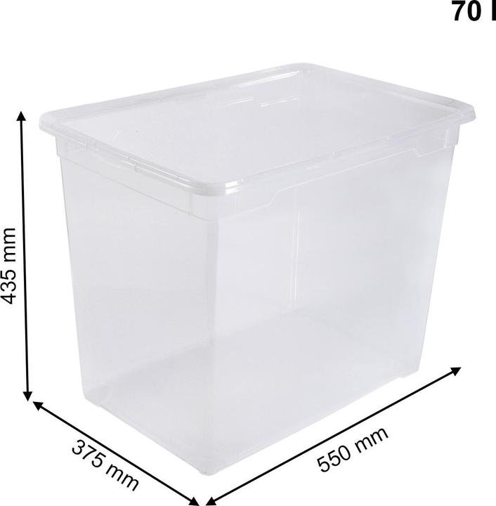 Image du produit Rotho Clair (55 x 37,5 x 43,5 cm, 70 l)