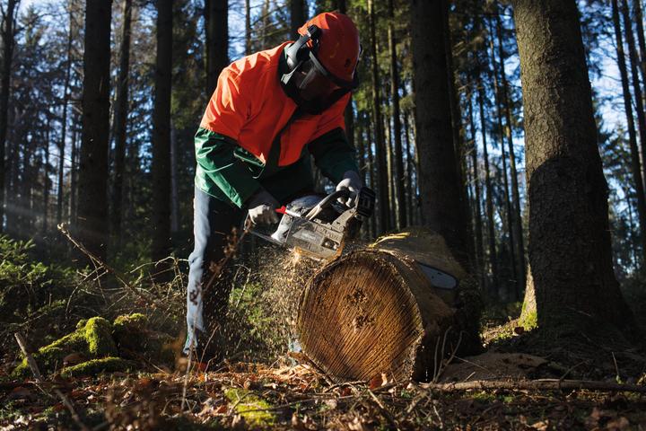 Actual product image Scheppach CSH56 (Petrol chain saw)