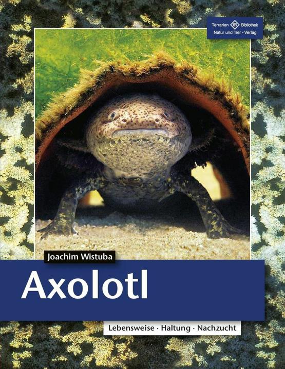 Produktbild Axolotl (Deutsch, Joachim Wistuba, 2022)