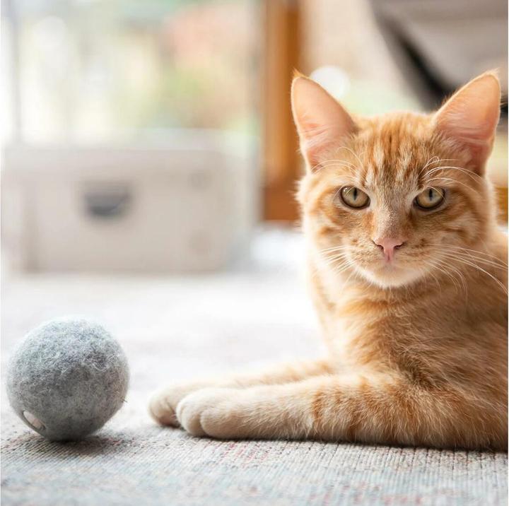 Image du produit CanadianCat Jouet pour chats Balle en feutre avec sac à parfum (Jouet à balle chat)