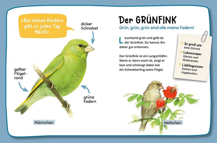 Immagine prodotto Kosmos Mein erster Naturführer, Was fliegt denn da? (Tedesco, Lea Hille, 2023)