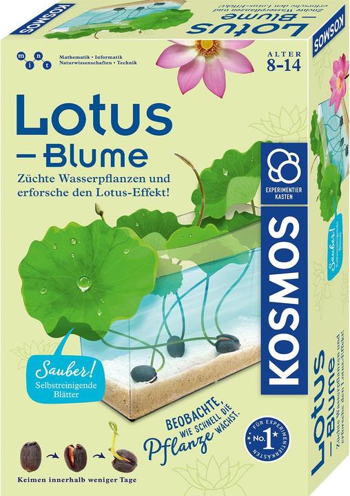 Image du produit Kosmos Fleur de lotus