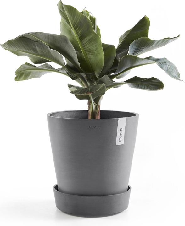 Produktbild Ecopots Saucer on Wheels