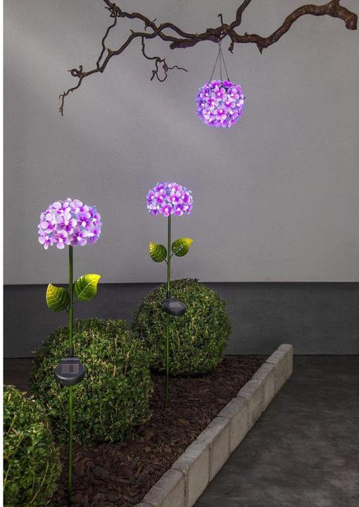 Image du produit Star Trading Hortensia (IP44)