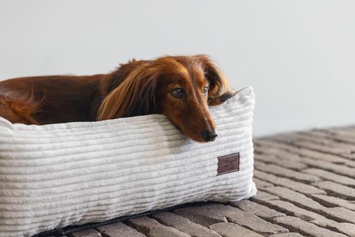 Produktbild Designed by Lotte Liegebett Ribbed (Hund)