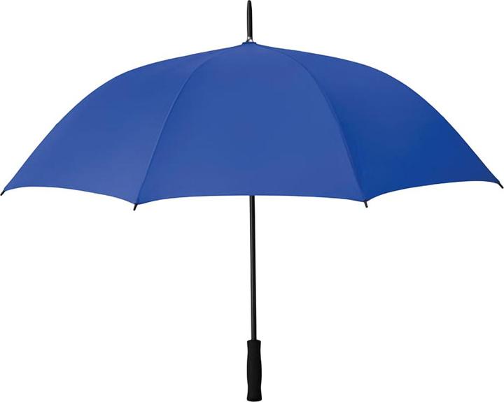 Bleu roi