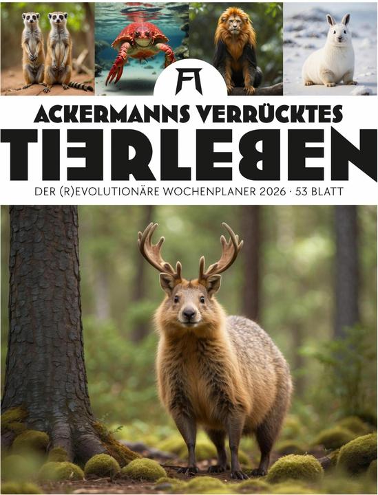 Actual product image Verrücktes Tierleben - Wochenplaner mit KI-Bildern Kalender 2026 (25 x 33 cm, German)