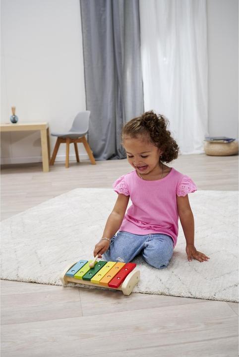 Actual product image Xylophone (English, German)