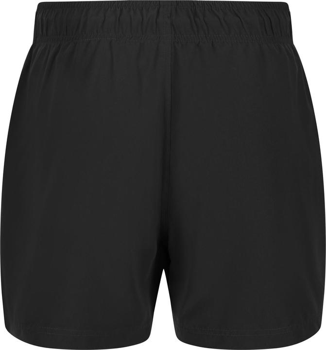 Actual product image Regatta Mawson II Shorts (XL)