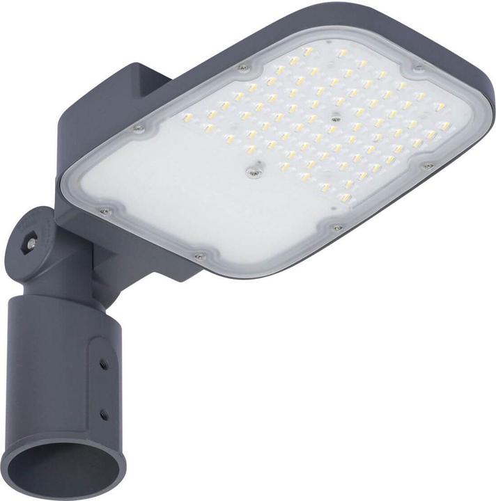 Actual product image Ledvance STREETLIGHT AREA SMALL Street light RV20ST 6075lm 6500K daylight white IP66 (6075 lm, IP66)