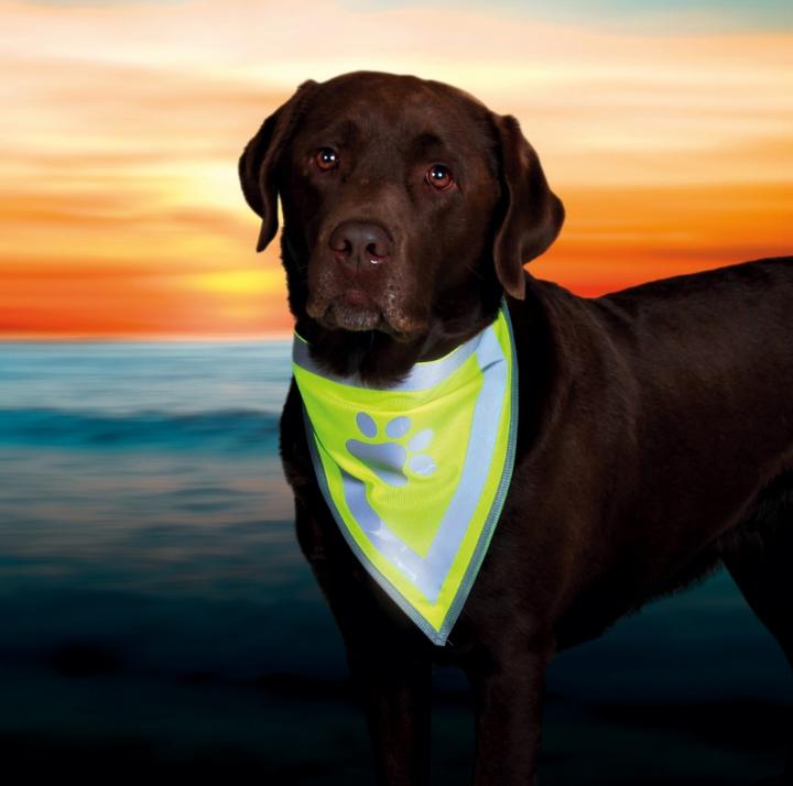 Actual product image Trixie Safer Life bandana (L, XL, Dog bandana)