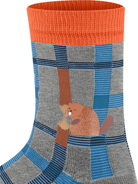 Actual product image Falke Beaver Check Kids Socks (19 - 22)