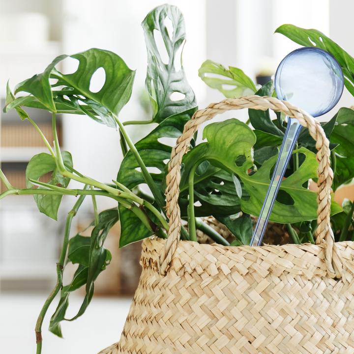 Produktbild Relaxdays Bewässerungskugeln (Bewässerungskugeln)