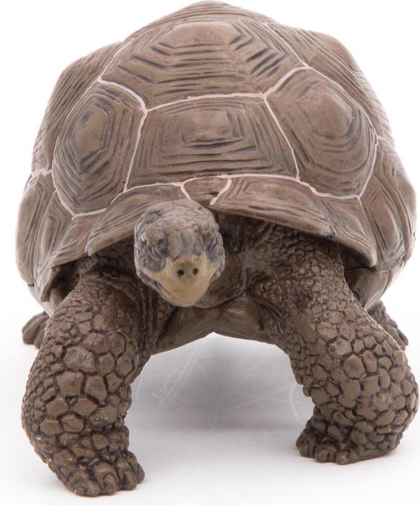 Image du produit Papo Tortue géante des Galápagos