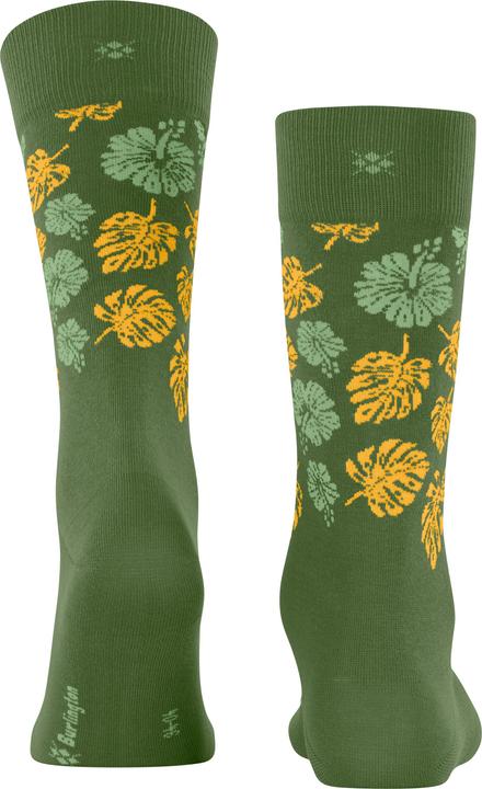 Image du produit Burlington Aloha Breeze SO (40 - 46)