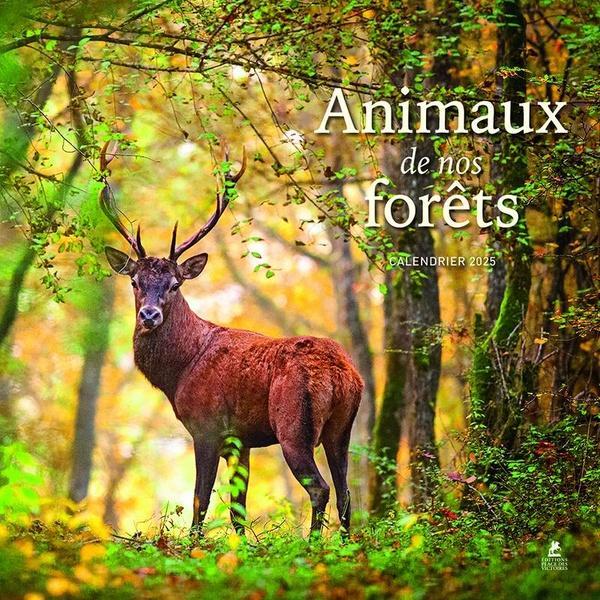 Animaux de nos forêts : calendrier 2025 (Harter Einband, Französisch)