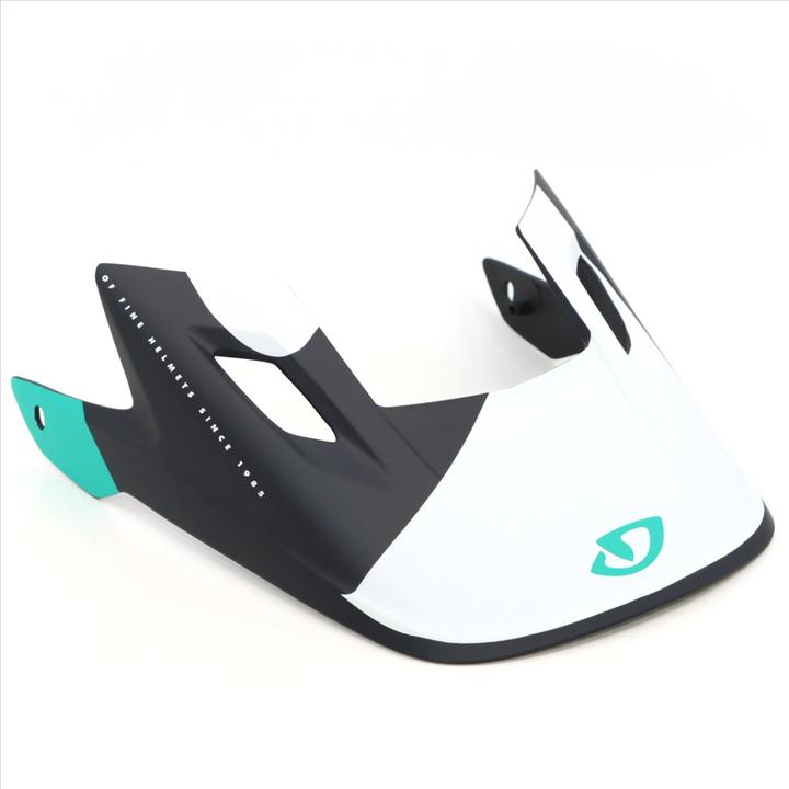Actual product image Giro Disciple Cipher Visor