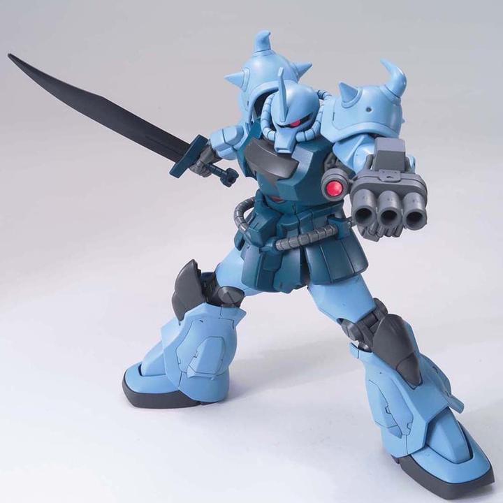 Actual product image Bandai Gundam Gouf Custom