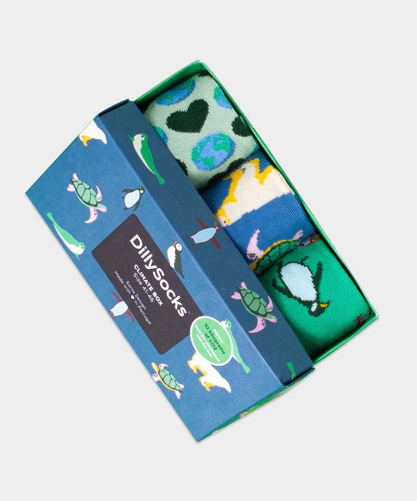 DillySocks Climate Box (Einzelpack, 41 - 46)