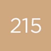 Actual product image Diego dalla Palma High Coverage Foundation Sun Protection Factor 20 215 (Hazel beige)