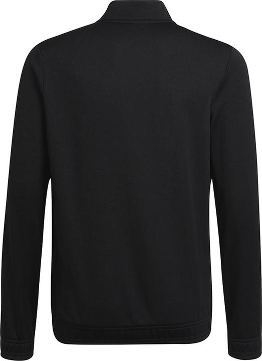 Actual product image adidas Entrada 22 training jacket kids (128)