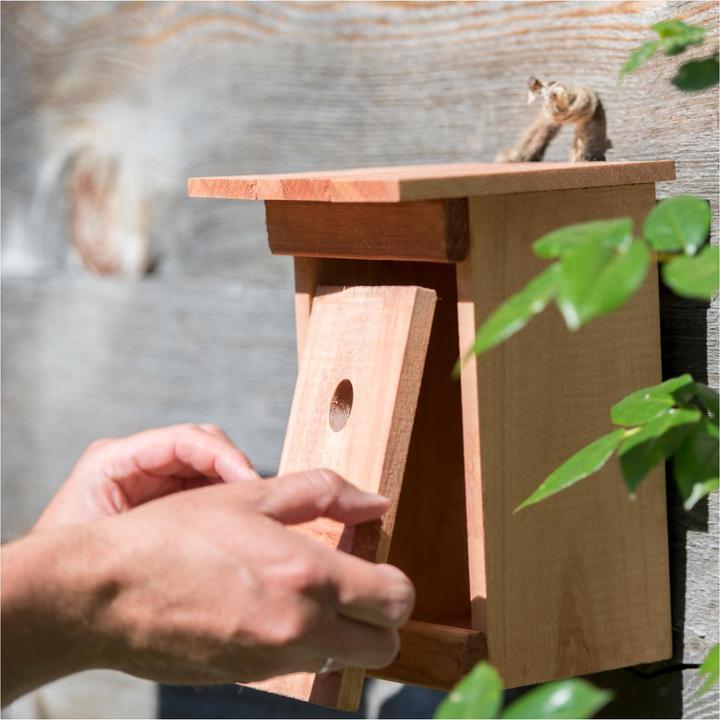 Produktbild Windhager Birdy