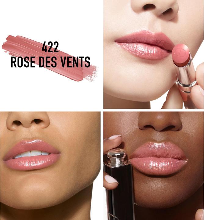 Image du produit Dior Addict Shine (422 Rose Des Vents)