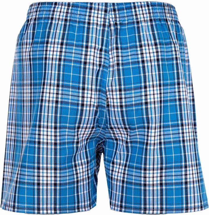Image du produit Your Basics Boxers tissés Casual Coupe ample (188, paquet de 7)