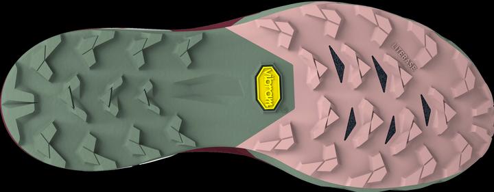 Actual product image Dynafit Alpine Pro 2 running shoe (39)