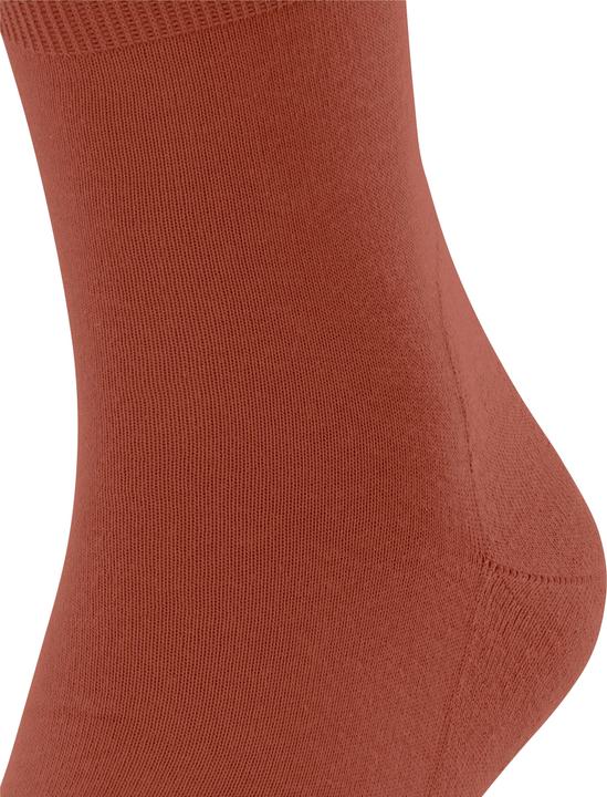 Actual product image Falke Run Unisex (35 - 36)